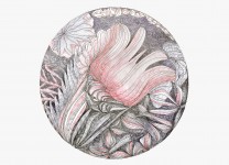 [Bild von Susanne Hauser]