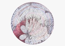 [Bild von Susanne Hauser]