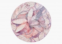 [Bild von Susanne Hauser]