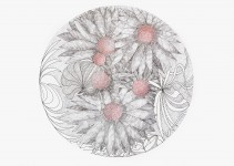 [Bild von Susanne Hauser]