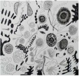 [Bild von Susanne Hauser]