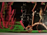 [Bild von Susanne Hauser]