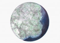 [Bild von Susanne Hauser]