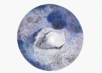 [Bild von Susanne Hauser]