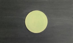 [Bild von Susanne Hauser]