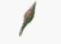 [Bild von Susanne Hauser]