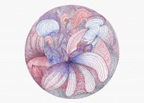 [Bild von Susanne Hauser]