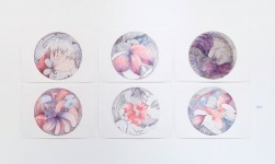 [Bild von Susanne Hauser]