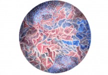 [Bild von Susanne Hauser]